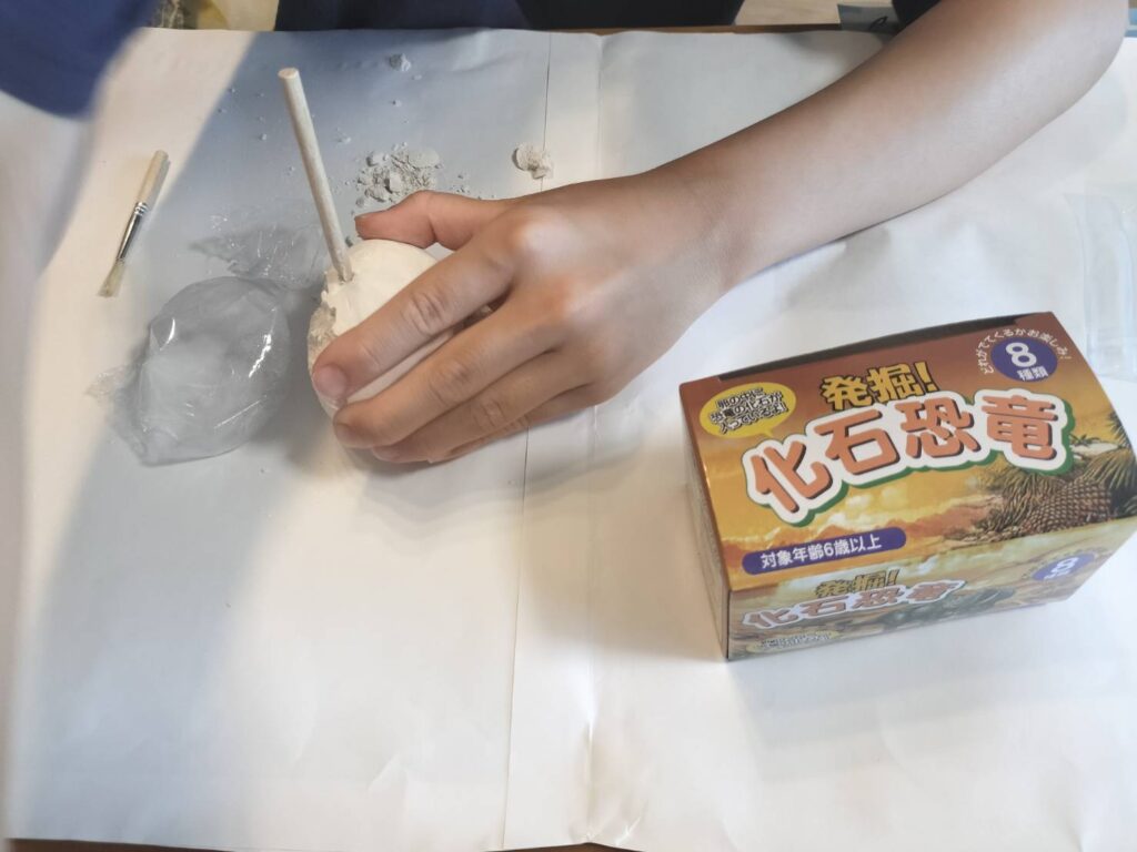 発掘中①